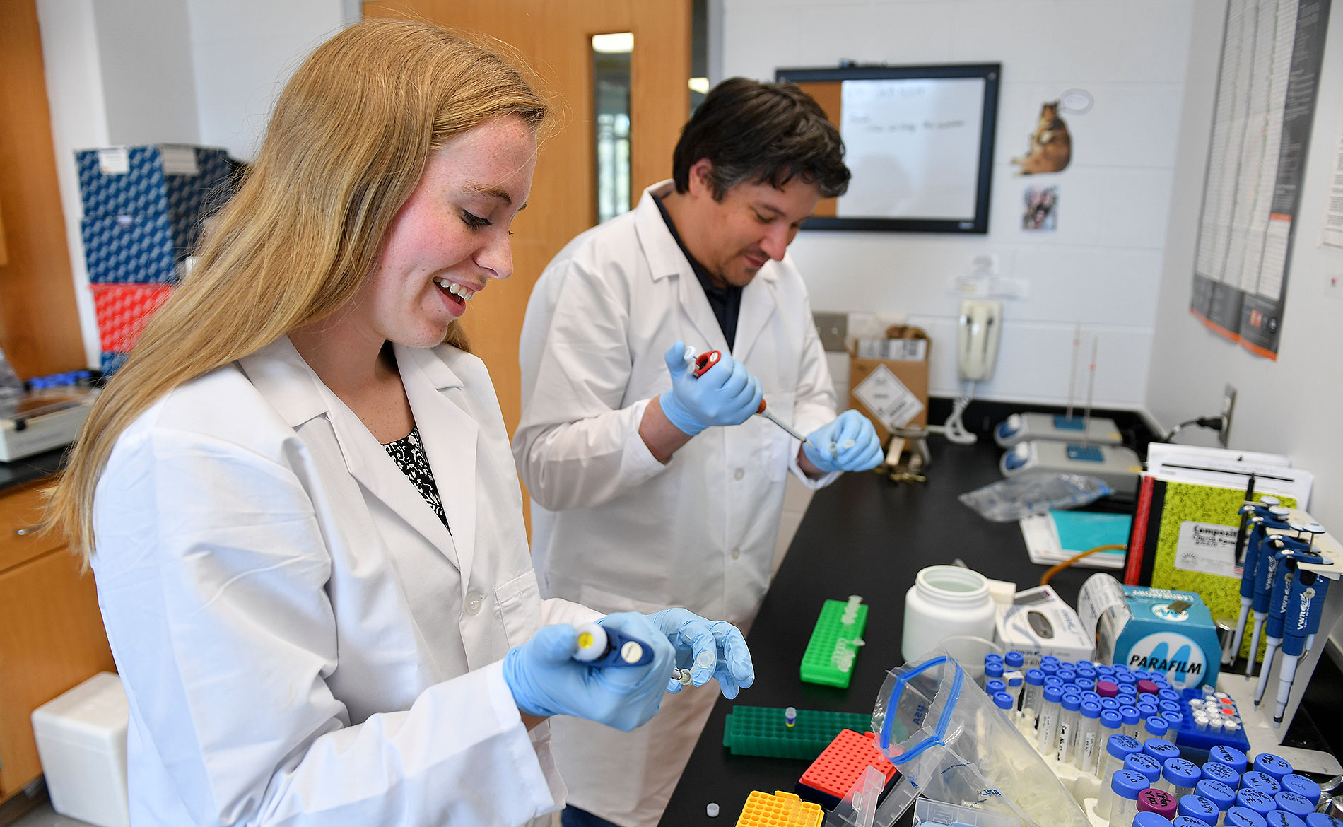 Pre Med Major And Programs Berry College