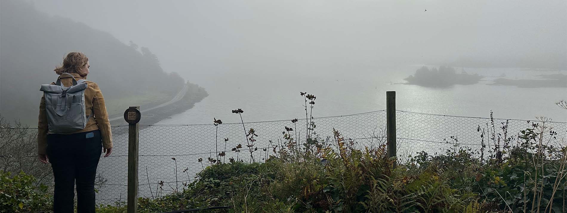 student overlooking a foggy landscape