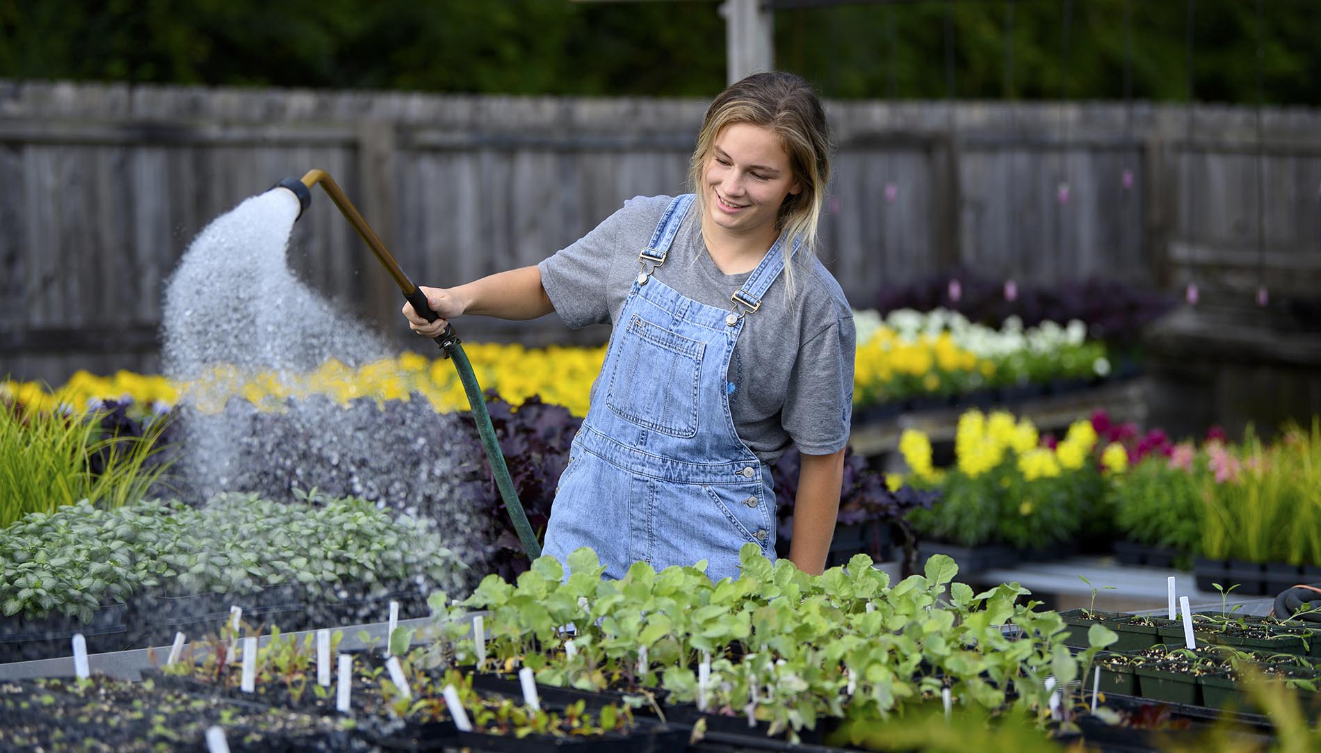 Isabelle Hill watering flowers