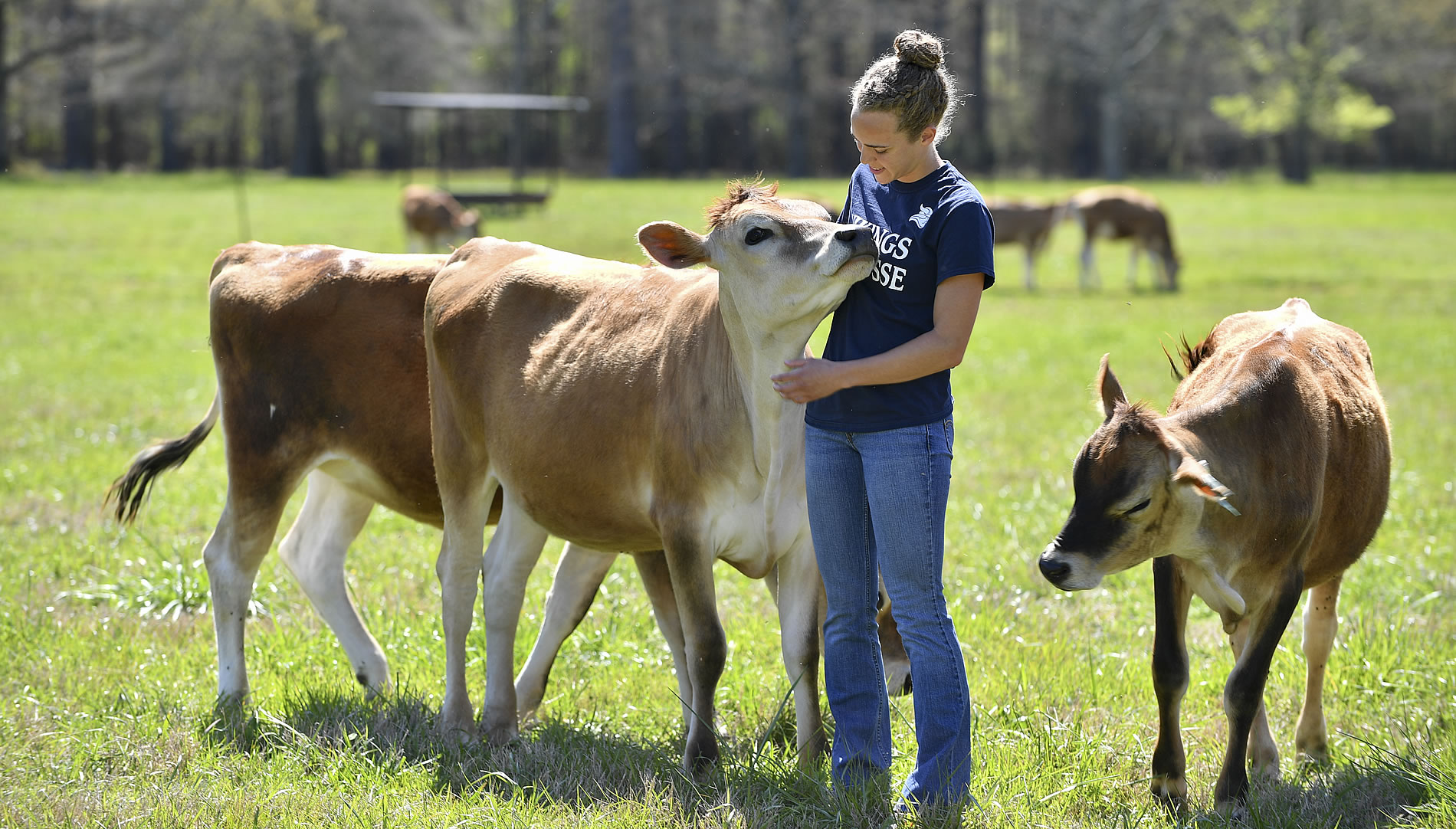 Careers with Animals: 20 Ways to Turn Your Passion into a Profession