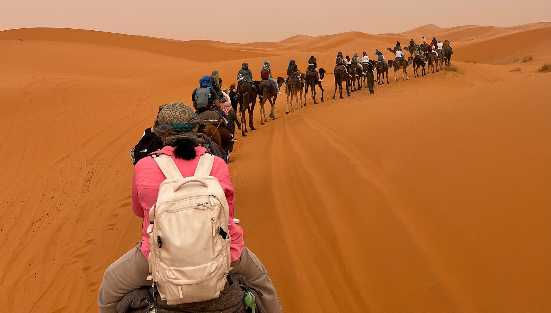 A line of students riding camels through the desert