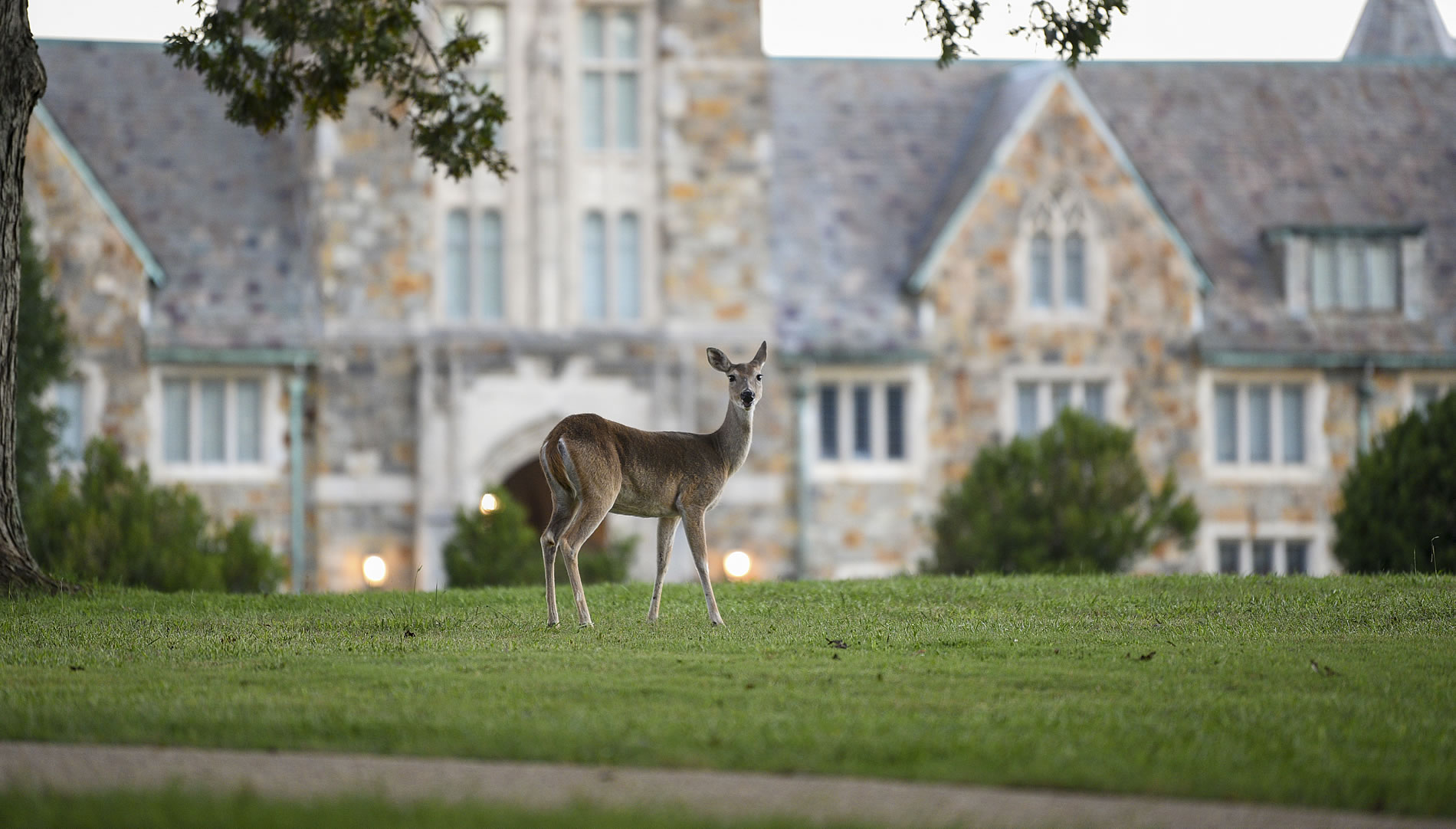             Berry College listed by Architectural Digest for Beauty.       
