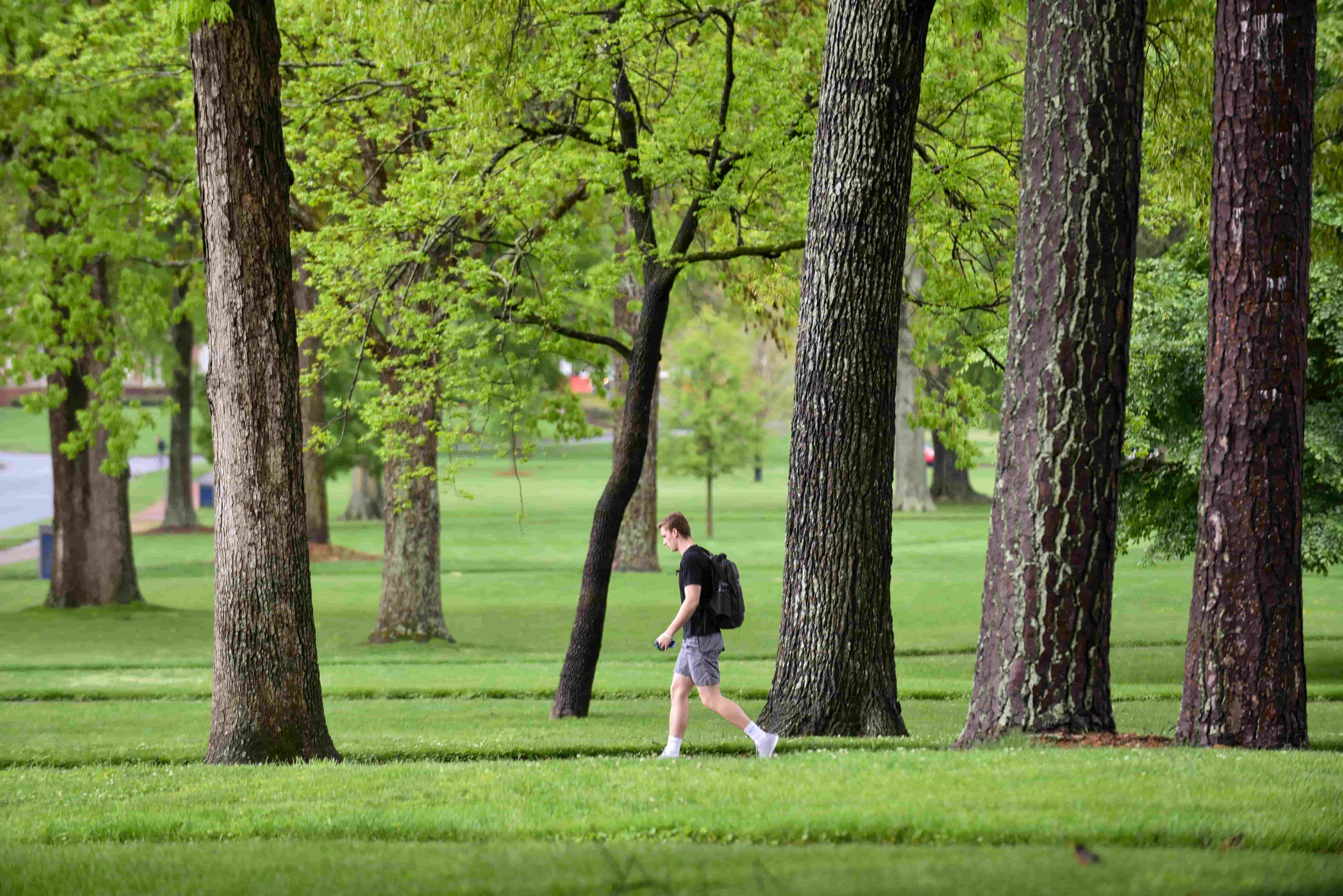 Student hiking in the trees