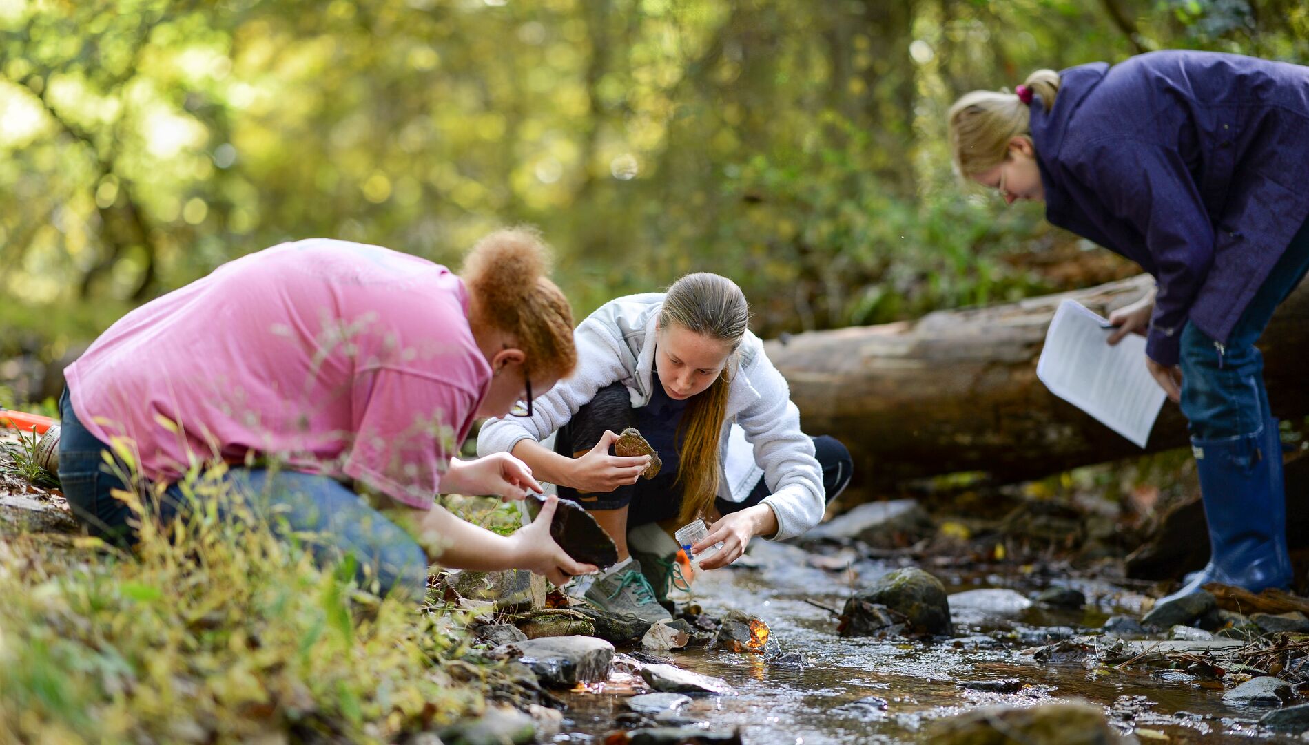 People examining soil