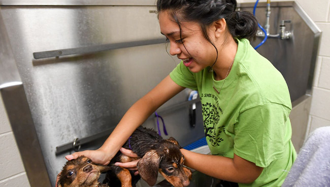 Students at a sink