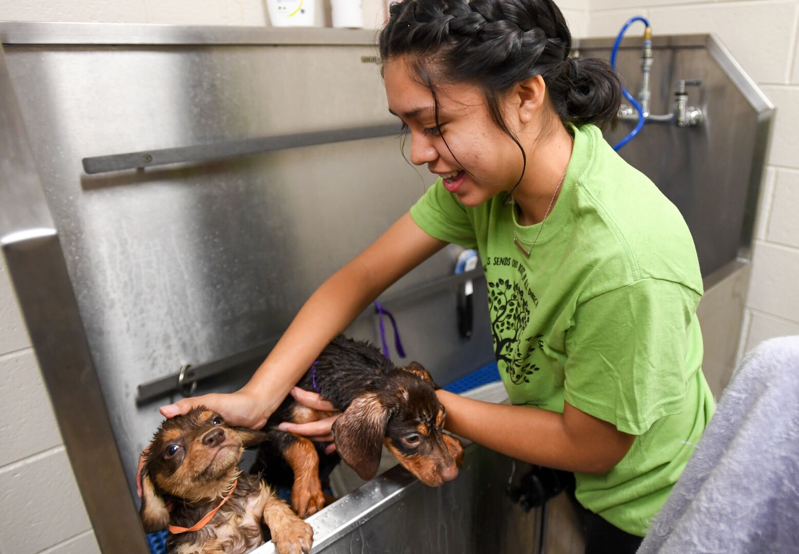 Students at a sink
