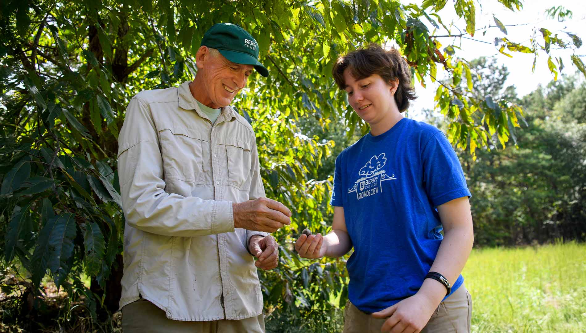 Professor and student under a tree observing chestnuts