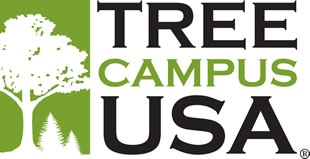 TreeCampus.jpg